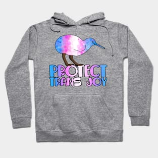 Protect Trans Joy Hoodie